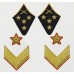 Петлицы командный состава, АБТВ и Артиллерия, Генерал-полковник, обр. 1940 г.